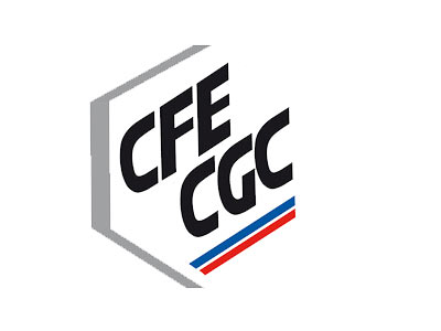 Section Syndicale CFE-CGC HP France